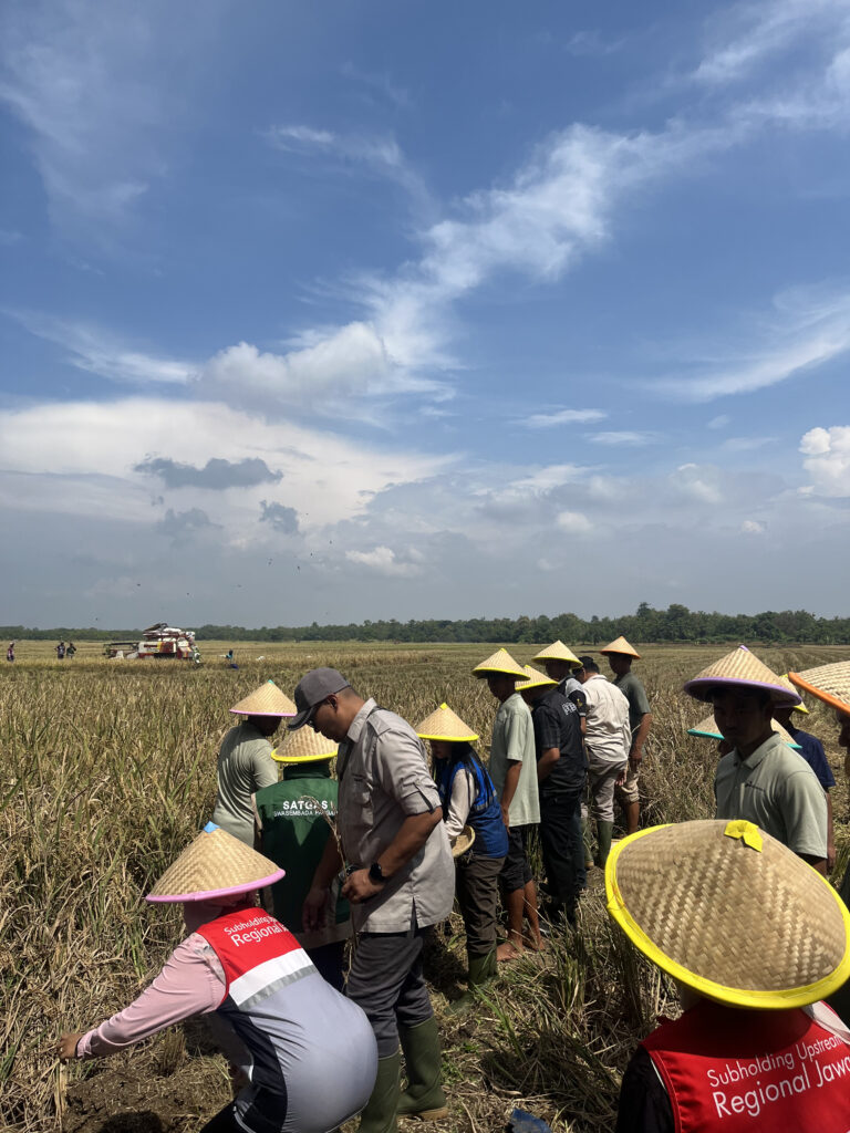 Panen Raya